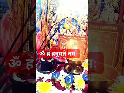Om hanumate #bageswardhamsarkar #jayshree ram