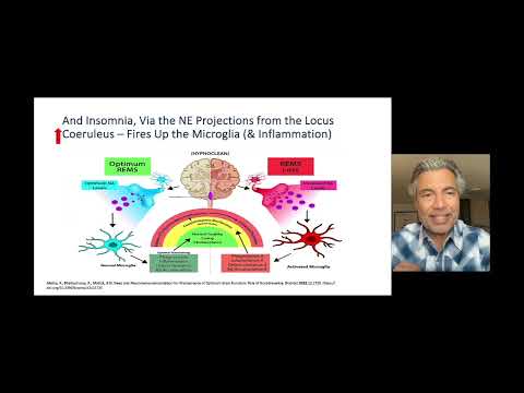 Norepinephrine - Part 2
