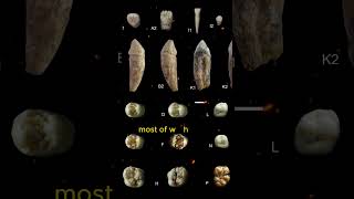 The largest ape that ever existed | Gigantopithecus | Strange facts you never knew #shorts