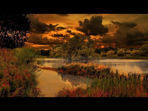 Relaxing Music, Meditation Music, Sleeping Music, Yoga Music, Spa Music, Study Music, Insomnia ☯006