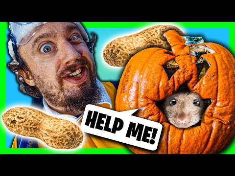 Peanut Physics (PHANTOM CAMERA 5000 FPS!!!)