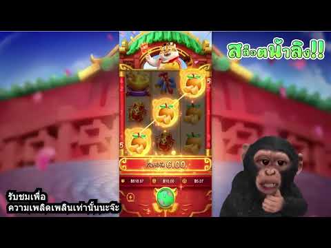 เว็บตรงไม่ผ่านเอเย่นต์ | เว็บสล็อตเว็บตรง | เว็บตรง เกมจากค่ายpg ปังสุดๆ!
