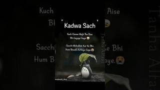 kadva sach 🥰#shayerivideos #sadstatus #kadvesach