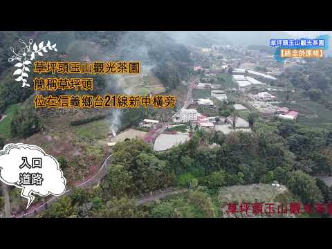 【終忠於原味】草坪頭玉山觀光茶園_南投信義【空拍台灣(Taiwan)】