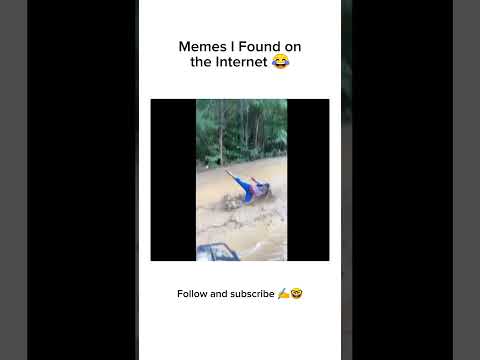 Funny Video