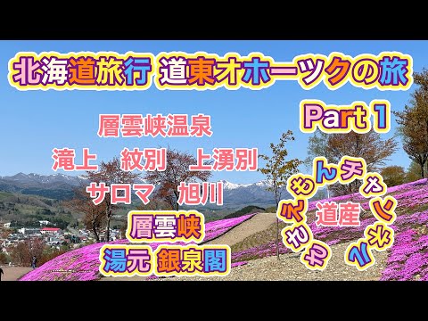 [北海道旅行]道東オホーツクの旅Part１　春の花満開を求めて…層雲峡温泉編