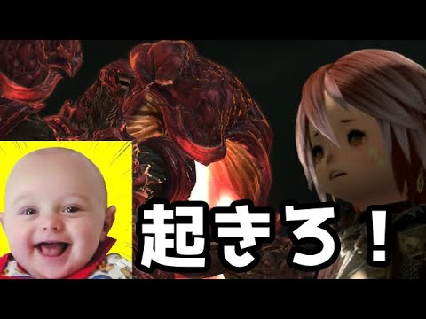 【FF14】1分間生き延びるのが難しすぎた初の高難易度ヒーラーが過酷すぎる【極ルビーウェポン】【ゆっくり】