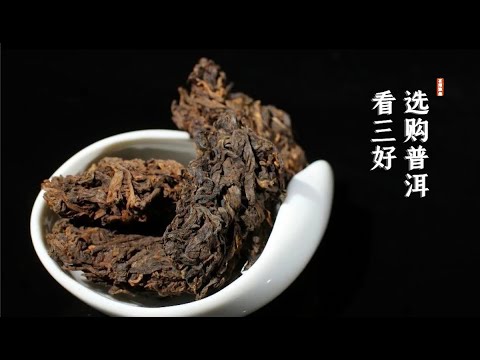 找茶 / 選購普洱看“三好”