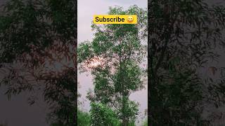 #youtubeshorts #shortvideo #ytshorts #trendingshorts #new #akaction96 #bhojpuri #love #rngdari