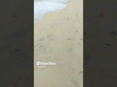 Samandar mai kinara tu | sea beach vibe | Hindi music #shorts #seabeach