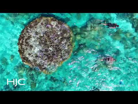 Paradise Found _ Motu Tane Island _ Bora Bora, French Polynesia _ Marcus Anthony & Bob Hurwitz