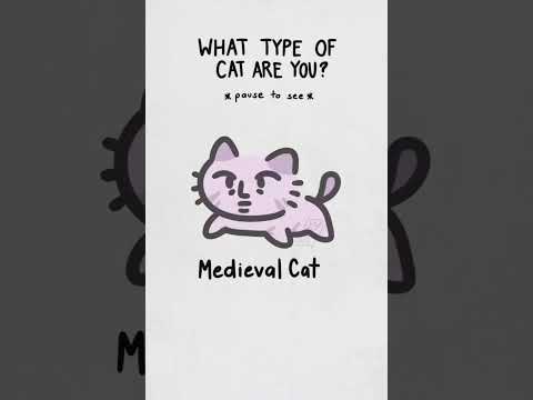 What type of cat are you? {🪶#therian #furry #furries #antizoo #trending 🐾}