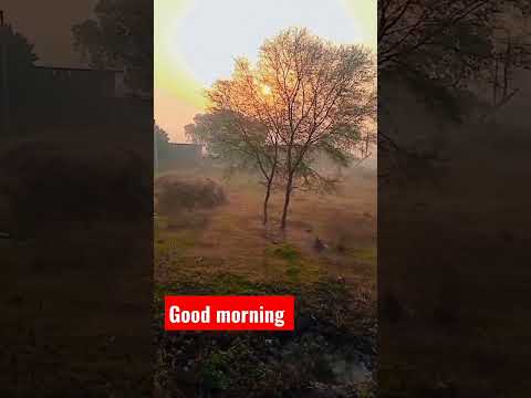 new good morning netural video #popular #viral #ambedkarnagar