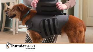 ThunderShirt® Commercial 2026 (15s)