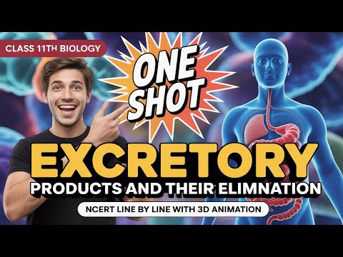 Excretory Products and Eliminations ONE SHOT Revision | Human Physiology ONE SHOT | NEET Biology