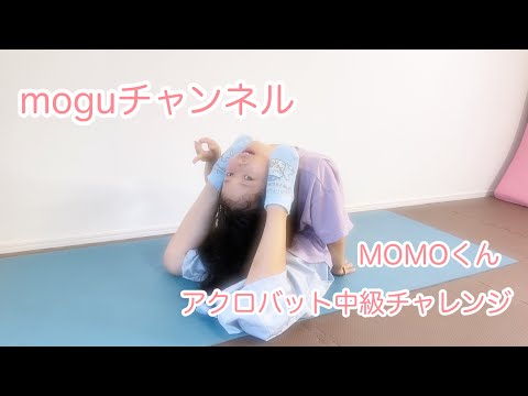 ［アクロバットチャレンジ］moguチャンネル、MOMOくんのアクロバット中級へのチャレンジ動画です！