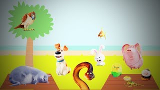 Learning Animal Names With Secret Life of Pets Cast 🌴  Fun in Learning Animal Names [Kids Club]