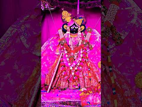 ⚜️श्रीबाँकेबिहारीजी की शयन-आरती के दर्शन|[14 मार्च,2025]⚜️🌺 #youtube#radha#laddugopal#bankebihari🌺