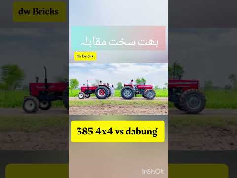 385 4x4 vs Dabung | Dw bricks