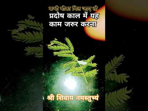 कभी मौका मिल जाए तो शिव मंदिर में जरुर करना यह उपाय#upay#pradeepmishra#astrology#shortsfeed#shiv