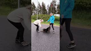 Resa Polen-Sverige maj 2025