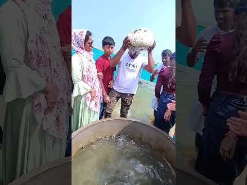 Floating stone Rameswaram #ramsetu #dhanushkodi #rameshwaram #floatingstone #traveldaiaries