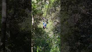 Zip line #holiday #travel #mountainlodge #zipline