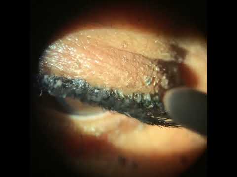 Dirty False Eyelashes