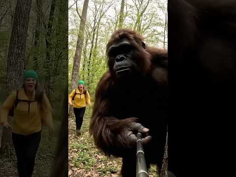 Bigfoot is not scary 🤣 #viral #bigfoot #funny #bigfootvlog #ai