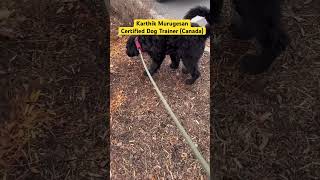 Before taking your Puppy indoors (தமிழில்) காளியும் நானும்