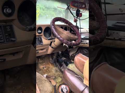 ‘79 Dodge Van #fyp #foryou #foryourpage  #junkyard #classiccars #dodge #automobile  #70s #roadtrip