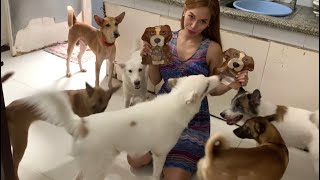 SNACKS TIME Kasama Ang mga 10 Dogs Ko😮😮