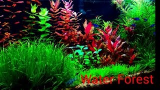 20L with new cerges reactor slightly modified