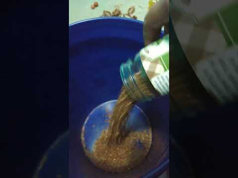 #copper chops