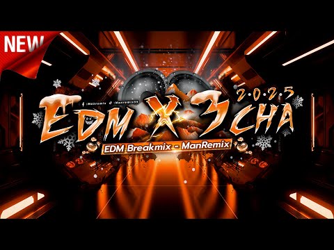 รวมเพลงตื๊ดๆ #กำลังฮิตในtiktok เพลงตื๊ด โคตรมันส์ BreakMix EDM 2025 - ManRemix