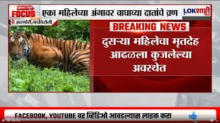 Gadchiroli च्या आरमोरीत आढळला 2 महिलांचा मृतदेह; वाघाने घेतला 2 महिलांचा बळी?