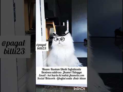 Deepika ke dhobi se miliye 🙃 #shorts #funnyshorts  #comedy #cute #meow #funnycats @pagalbilli23
