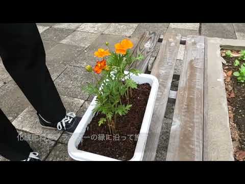 追肥