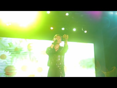 Daisy [Solo Ver LIVE]