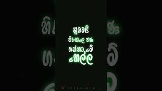 Manali / මනාලි  Lyrics Short Video - @Yuki nawarathne Ft. Ravi Jay