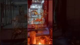 #kartikmaah #tulsipooja
