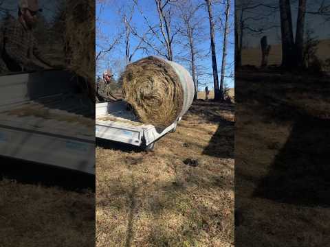 Can a minitruck handle a round bale?