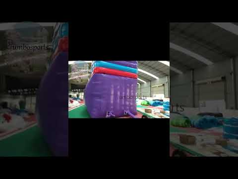 Dumbo Inflatable water slide 2