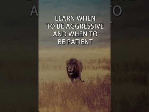 Learn when To be Aggressive and to be Petient #shorts #inspirationalthoughts #motivation #status