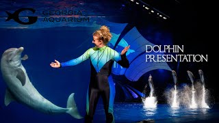 Dolphin Presentation Show At Georgia Aquarium Atlanta #atlantageorgia #georgiaaquarium