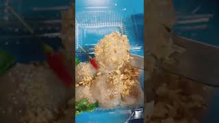 Tapioca Balls With Pork Filling (Sa-Ku Sai Muu)🐽