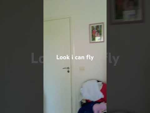 look i can fly