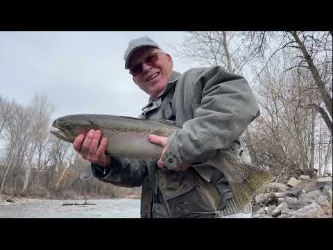 MONSTER STEELHEAD TROUT caught in Boise River [Idaho] 2023
