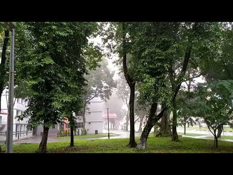 Rain Sounds Relaxing Piano music - misoothingrelaxation1960