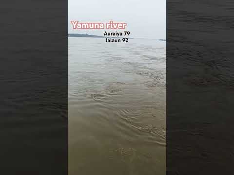 Kya Dil n kaha #shortvideo #instagram #trending #yamunariver @UP79